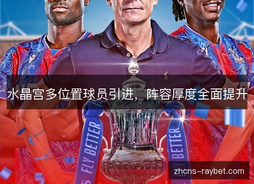 水晶宫多位置球员引进，阵容厚度全面提升